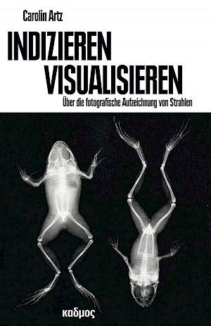 Indizieren – Visualisieren