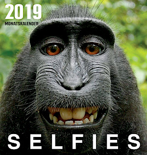 Selfies (2019)