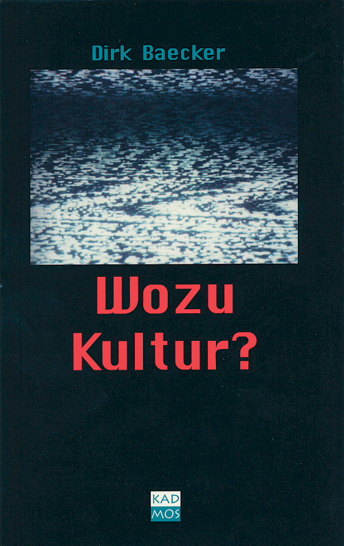 Wozu Kultur?