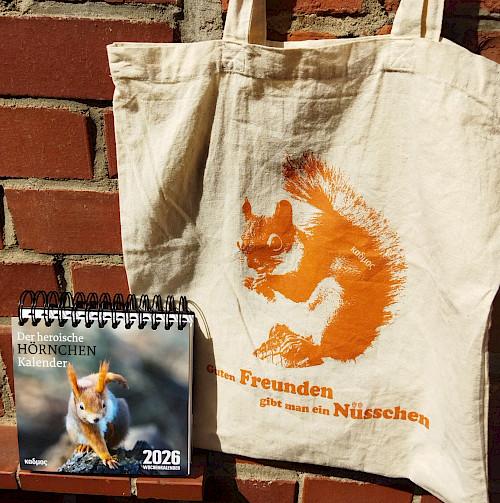 Bundle: Hörnchen