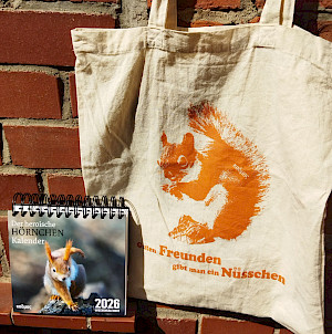Bundle: Hörnchen